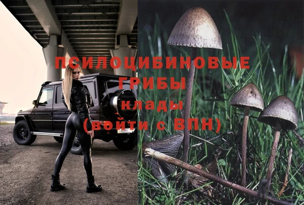 дурь Балахна